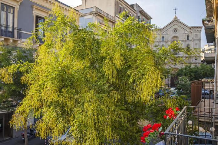 Apartamento L'Angelo Di Casa Mia Catania Exterior foto